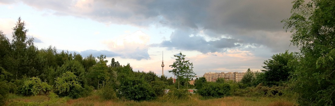 Berlin 10115 - Park am Nordbahnhof - Fernsehturm
